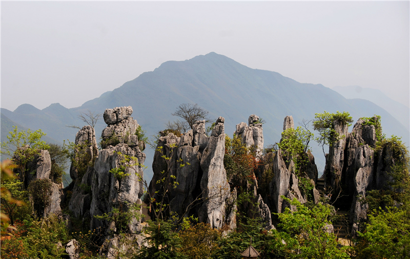3-2华蓥山(6).jpg